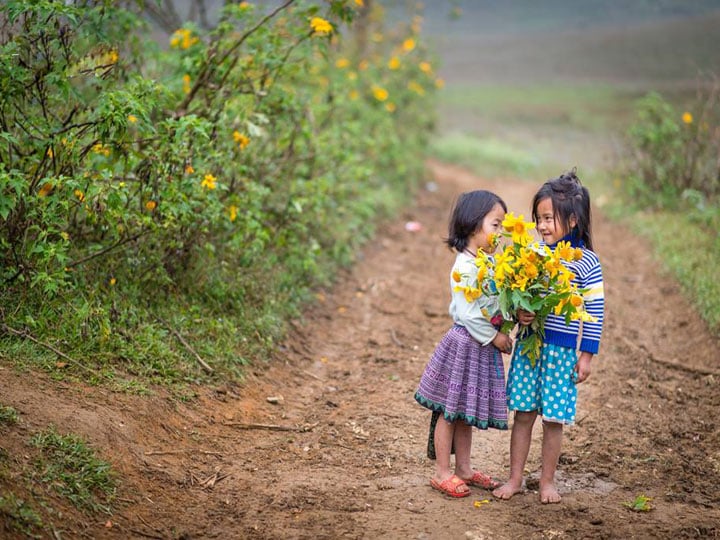 Du lịch Mộc Châu mùa cải trắng giá tốt khởi hành từ Hà Nội